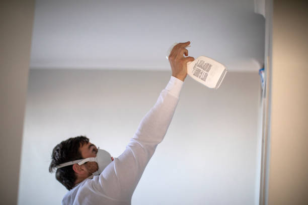 Best Commercial Mold Removal  in Duboistown, PA