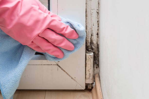 Best Residential Mold Removal  in Duboistown, PA